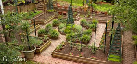 Reka Bentuk Landskap, Garden Reference, Colonial Garden, Herb Garden Design, Potager Garden, Garden Design Layout, Garden Types, Veg Garden, Home Vegetable Garden