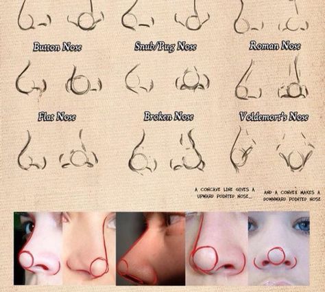 Nose Broken Nose, Children Sketch, Art Advice, Nose Drawing, Human Anatomy Art, Digital Painting Tutorials, Figure Drawing Reference, Reference Poses, Anatomy Art