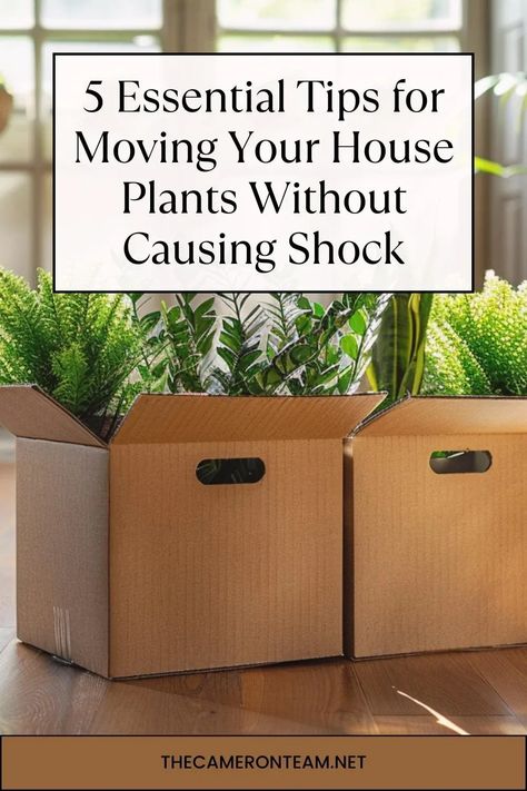 Learn how to move your house plants without shocking them with our top 5 essential tips. Ensure a safe transition for your green friends during your home move. How To Transport Plants When Moving, How To Move With Plants, How To Move Plants When Moving, Moving Plants Long Distance, Moving With Plants, Cross Country Moving Tips, How To Store Hangers, Moving To A New Country, Moving Ideas