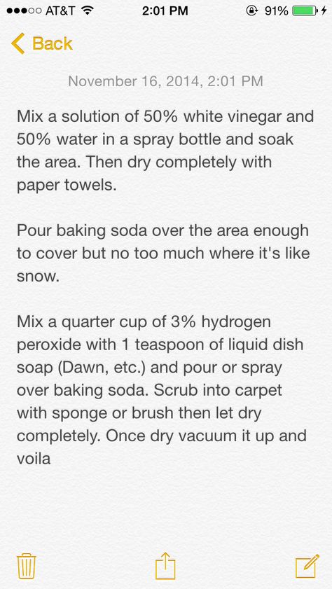 Solution to getting cat pee out of carpet and fabrics while also getting rid of the scent from the cat so they're less likely to pee there again Pee Out Of Carpet, Lou Dog, Pee Smell, Clean Baking Pans, Urine Smells, Cleaning Painted Walls, Cat Pee, Glass Cooktop, Deep Cleaning Tips