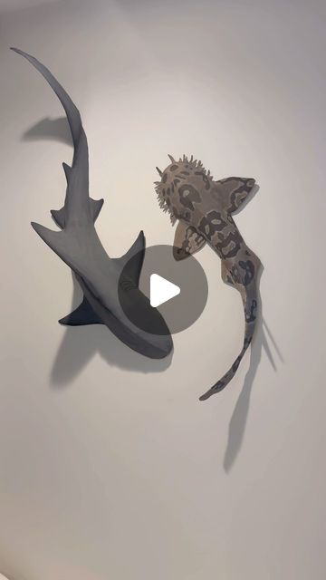 3d Shark Craft, Wall Shark, Shark Sculpture, Shark Craft, Shark Drawing, Fish Decor, Bull Shark, Artist Instagram, 3d Craft