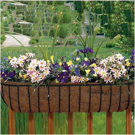 Canterbury Horse Trough Rail planter Horse Trough Planter, Railing Flower Boxes, Deck Railing Planters, Horse Trough, Trough Planter, Deck Planters, Boxes Ideas, Railing Planters, Trough Planters