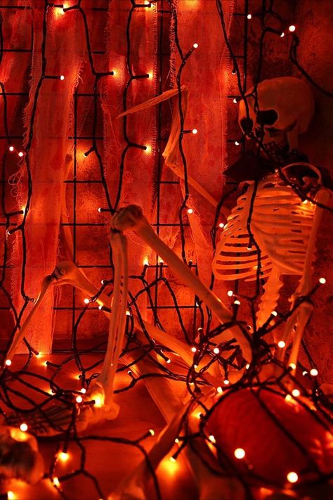 Orange lights. Halloween. They just go together. This comes with 114 feet of orange lights, perfect for any occasion. This particular model has 8 modes, is waterproof, and is ready to go! Orange String Lights, Outdoor Halloween Decor, Halloween Led Lights, Halloween String Lights, Garden Indoor, Party Garden, Halloween Lights, Outdoor Halloween, Halloween Outdoor Decorations