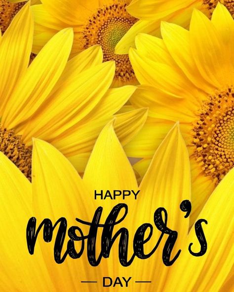 Happy Mothers Day Sunflowers, Happy Mothers Day Pictures, Fav Flower, Happy Mom Day, Happy Mothers Day Images, Happy Mothers Day Wishes, Sunflower Images, Mothers Day Images, Mothers Day Pictures