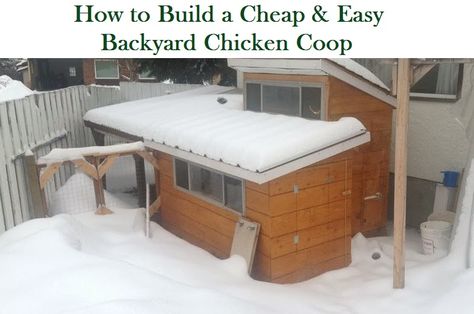 A cheap and easy way to build a backyard chicken coop using recycled materials. Learn more on our blog: http://adventuresinself-sufficiency.blogspot.ca/2014/02/building-cheap-easy-backyard-chicken.html. Chicken Coops Homemade, Cheap Chicken Coops, Backyard Chicken Coop, Backyard Coop, Easy Chicken Coop, Portable Chicken Coop, Cheap Backyard, Cheese Making, Keeping Chickens