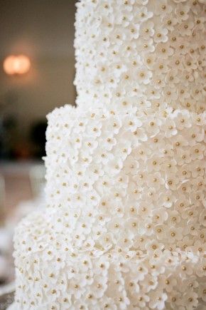 Beautiful delicate flower wedding cake Daisy Wedding, Gateaux Cake, Take The Cake, Gorgeous Cakes, Charleston Wedding, Fancy Cakes, Pretty Cakes, Creative Cakes, Cake Inspiration