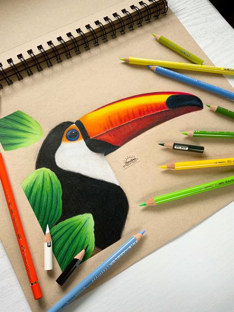 Doodle Art Drawing Colorful, Realistic Animal Drawings Colour, Colour Pencil Art Easy, Colour Pencil Art Drawings, Drawing With Pencil Colours, Colour Pencil Art Sketches, Colour Pencil Drawing Easy, Pencil Colours Art Drawings, Pencil Colour Sketches