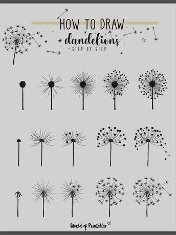 Draw Dandelion, Dandelion Stencil, Dandy Lion, Dandelion Painting, Name Drawings, Dandy, Master Suite, To Draw, Dandelion