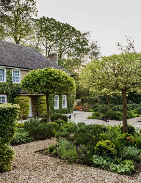 Parterre garden: an elegant design with evergreens - Gardens Illustrated January Gardening, Highgrove Garden, Garden Ideas Vegetable, Country Garden Design, Evergreen Landscape, Gardening Seeds, Parterre Garden, Inside Garden, Evergreen Garden