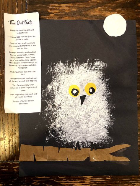 O: Owl Moon | Chronicles of Momia  Part of the Learning the ABC's through Literature Homeschool Co-op Curriculum. Free lesson plans, craft ideas, handwriting sheets, discussion questions, and more. Also a great supplement to the FIAR / Five in a Row Curriculum, or great for unit studies on Owls, the Moon, or Winter Owls Kindergarten, Teach The Alphabet, Owl Facts, Moon Activities, Owl Bags, Handwriting Sheets, Owl Moon, Moon Crafts, Five In A Row