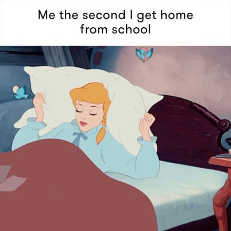 These back to school memes perfectly sum up what it's like to return to school after summer break, and will at least make you feel better about getting out of bed on the first day back. Disney Felt, Broke Meme, Princess Workout, Fall Break, Pure Romance, School Memes, Content Ideas, Summer Break, Going Back To School