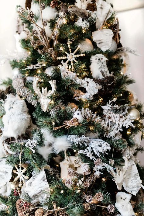 Love the birds! Try a rustic winter woodland Christmas tree theme this year. With simple natural ornaments like owls, deer, birds, and flocked branches. Find more Christmas tree ideas at PartiesWithACause.com #christmastree #christmasdecor #farmhousechristmas #christmashome Winter Woodland Christmas, Owl Christmas Tree, Glam Christmas Tree, Woodland Christmas Decor, Fruit Christmas Tree, Woodland Christmas Tree, Glam Christmas Decor, Diy Christmas Decorations For Home, Glam Christmas