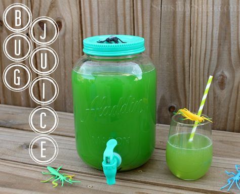 Bug Juice Recipe | SensiblySara.com Bug Juice Recipe, Green Jungle Juice Recipe, Bug Party Ideas, Levi Birthday, Ladybug Ideas, Juice Recipes For Kids, Jungle Juice Recipe, Wild Kratts Party, Jungle Classroom