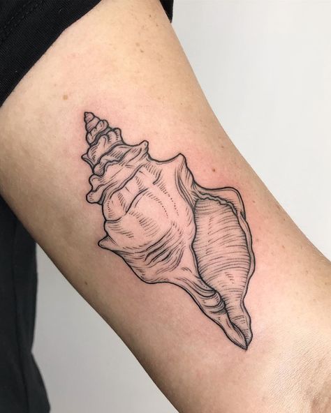 Crispy Francis on Instagram: “A conch shell! This was fun and different.” Ocean Sleeve Tattoos, Shell Tattoo, Seashell Tattoos, Shell Tattoos, Petit Tattoo, Dibujos Tattoo, Ocean Tattoos, Top Tattoos, Grey Tattoo