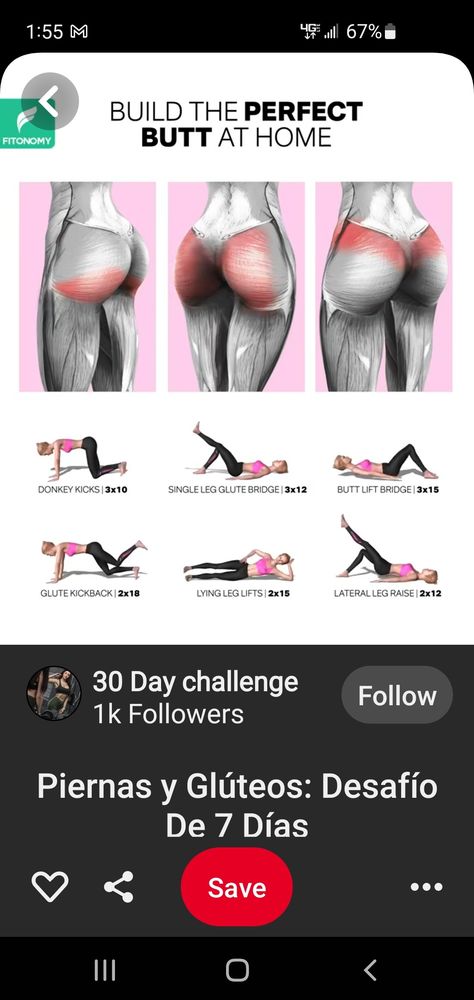 Bigger Bum Workout, Bigger Buttocks Workout Exercises, Summer Body Workout Plan, Bum Workout, Body Weight Leg Workout, Buttocks Workout, Quick Workout Routine, Body Workout Plan, Bodyweight Workout Beginner