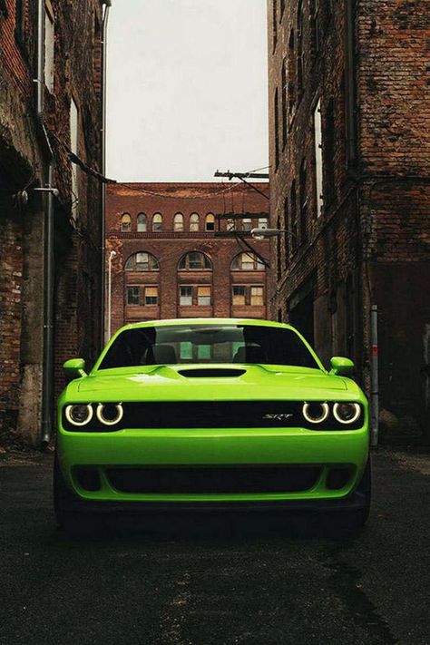 Challenger Hellcat, Dodge Challenger Hellcat, Challenger Srt Hellcat, Dodge Challenger Srt Hellcat, Hellcat Challenger, New Sports Cars, Christmas Wallpaper Backgrounds, Christmas Aesthetic Wallpaper, Challenger Srt