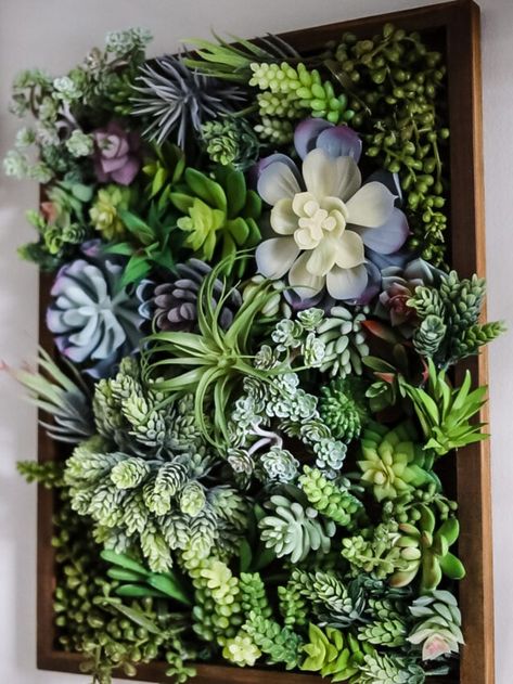 Frame Plant Wall, Succulent Boxes Wall, Succulent Plant Wall, Fake Succulents Decor Wall, Air Plant Wall Art, Living Succulent Wall, Artificial Succulent Wall, Succulent Arrangements Indoor Wall, Succulent Wall Indoor