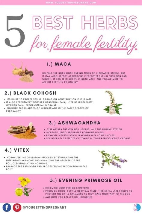 Herbs For Fertility, Fertility Vitamins, How To Increase Fertility, Fertility Boosters, Increase Fertility, Fertility Supplements, Womb Healing, Fertility Foods, Fertility Health