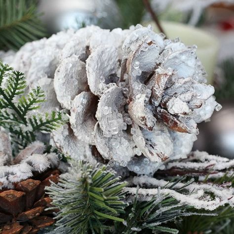 pine cone with spray snow, spray adhesive and crystals Pine Cone Christmas Decorations, Pinecone Crafts Christmas, Make Snow, Pine Cone Christmas Tree, Pine Cone Art, Christmas Pine Cones, Dinner Recipes Chicken, Pine Cone Decorations, Cones Crafts