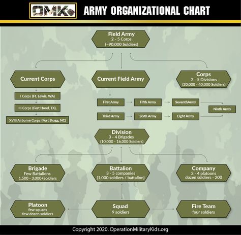 Learn how the US Army is organized, including details on field Army, Corps, Divisions, Brigades, Battalions, Company, Platoon, and Squads / Fire Teams. Organization Chart Template, Army Structure, Us Army Infantry, Air Force Special Operations, Army Divisions, Army Ranks, Military Images, Military Tactics, Military Ranks