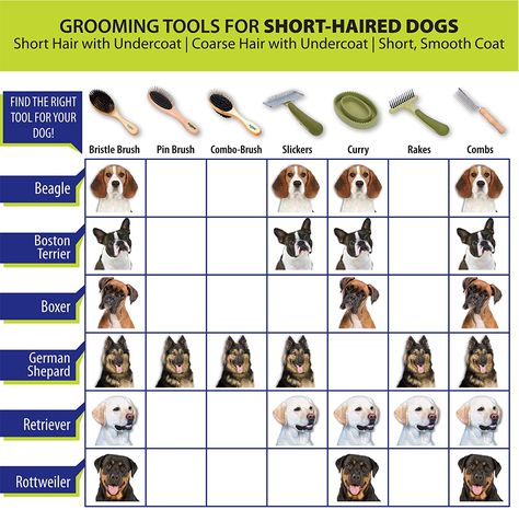 Dematting Dog Hair, Trim Sizes, Dog Dry Skin, Dog Grooming Tools, Pet Shed, Dog Organization, Short Haired Dogs, Grooming Business, Slicker Brush