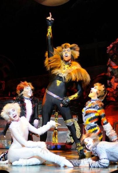 Victoria, Jemima, and Rumpelteazer: YAAAY TUGGER!!!! Tumblebrutus: I...will never...be...that...cool. *dies* That's it, that's the show. Cats the Musical Rum Tum Tugger, Cats 2019, Cats The Musical, Musical London, Jellicle Cats, Cat Movie, Cats Musical, Curious Cat, Cat Character