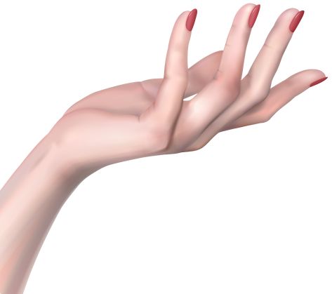 Creepy Hand, Hand Png, Woman Hand, Hand Photography, Hand Drawing Reference, Hand Images, Hand Reference, Poses References, Hand Sketch