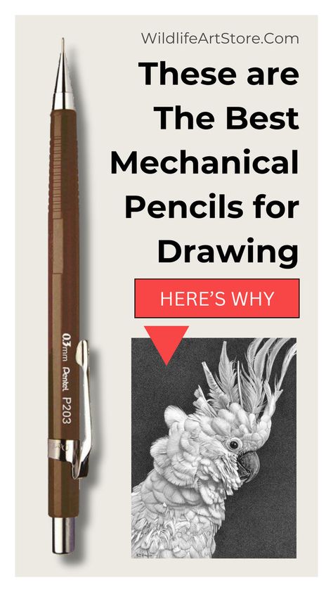 The Best Mechanical Pencils For Realistic Drawings Drawing Mechanical Pencils, Best Mechanical Pencils For Sketching, Best Drawing Pencils, Technical Pencil, Pentel Mechanical Pencils, Pencils For Drawing, Best Mechanical Pencil, Mechanical Drawing, Visual Art Lessons