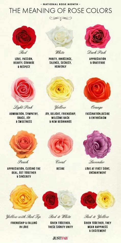 Rose's & their meaning. Meaning Of Roses, Rose Color Meanings, Rose Colors, Flower Meanings, Color Meanings, Language Of Flowers, Rose Garden, Rose Color, The Meaning