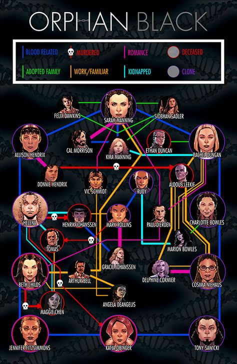 orphan black infographic - Relationships by Delaney Mamer Comics Infographic, Delphine Cormier, Black Tv Shows, Tatiana Maslany, Fantasy Tv, Black Tv, Orphan Black, Black Pins, Orange Is The New Black