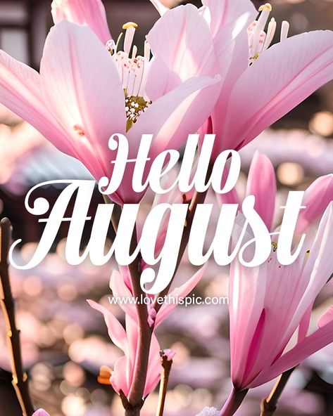 Hello August With Pink Flowers quotes pink month august hello august hello august pictures hello august images 2023 beautiful hello august images hello august free images hello august background hello august quotes images hello august images free hello august images for facebook hello august images and quotes august sayings 2023 Hello August Quotes, Quotes August, Hello August Images, August Background, August Hello, Pink Flower Pictures, August Pictures, August Images, August Quotes