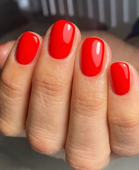 Long Wear Nail Polish, Natural Nails Manicure, Red Gel Nails, Colorful Nails, Red Nail Polish, Red Nail, Shellac Nails, Neutral Nails, Dipped Nails