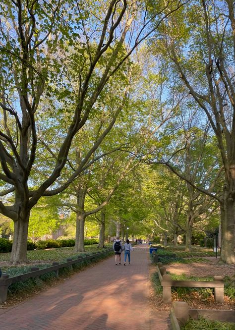 couple walks down tree lined path on a college campus Walking Around Campus Aesthetic, Canterwood Crest Aesthetic, College Of William & Mary, Williams College Aesthetic, William And Mary Aesthetic, Pretty College Campus, College Campus Aesthetic, William And Mary College, Collegiate Aesthetic