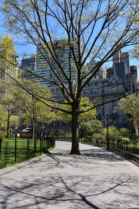 Nyc Park Aesthetic, Battery Park Nyc, City Park Aesthetic, Kristen Callihan, Spring In The City, Photoshoot Spring, Summer In Nyc, Battery Park City, Nyc Spring