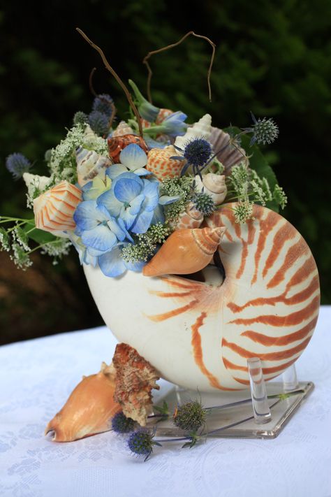 Seashell Floral Arrangement by Magdalena Williams of European Floral Design, www.europeanfloraldesign.com (706) 227-9937  Photo by Zoom Works Photography Wanna try it! Ocean Flower Arrangements, Coastal Floral Arrangements, Seashell Vase, Silk Orchids Arrangements, Lake Hartwell, Lake Oconee, Orchid Arrangements, Under The Sea Theme, Faux Flower Arrangements