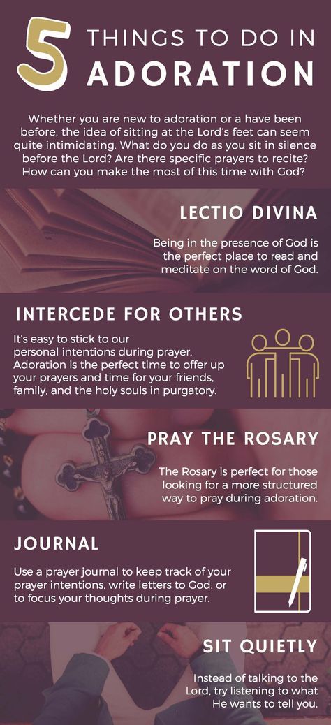 Adoration Catholic, Catholic Answers, Catholic Doctrine, Catholic Beliefs, Eucharistic Adoration, Catholic Education, Catholic Family, Faith Formation, Religious Education