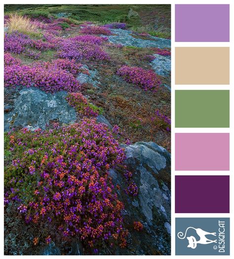 Highland - Lilac, coffee, cream, sage, green, pink, purple, slate, blue Designcat Colour Inspiration Board Teal Color Palette, Color Inspiration Boards, Colour Swatches, Purple Color Schemes, Purple Pink Color, Brown Color Schemes, Purple Color Palettes, Gold Color Palettes, Color Schemes Colour Palettes