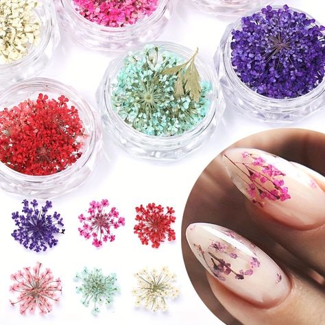 Faster shipping. Better service Dry Flower Nail Art, Flower 3d, Nail Art Sticker, Dry Flower, Flower Nail, Dry Nails, Flower Nail Art, Pedicure Nail Art, Womens Nails