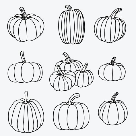 Pumpkin Shapes Drawing, Fall Pumpkins Drawing, Pumpkin Flash Sheet, Pumpkin Sketches To Draw, Halloween Doodles Pumpkins, Easy To Draw Pumpkins, Pumkin Drawing Ideas Easy, Pumkin Drawing Cartoon Easy, Simple Holiday Drawings