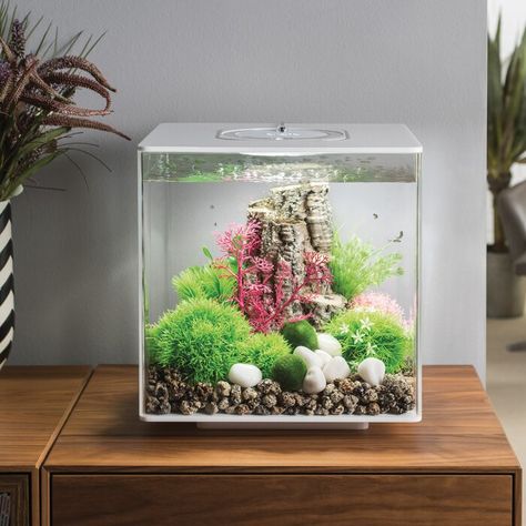 biOrb MCR LED Square Aquarium Tank & Reviews | Wayfair Square Aquarium, Desktop Aquarium, Aquarium Set, Acrylic Aquarium, Fresh Water Fish Tank, Nano Aquarium, Glass Aquarium, Diy Tank, Tropical Aquarium