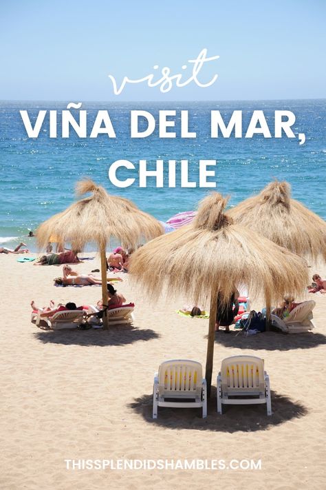 Vina Del Mar Chile, Chilean Food, Auckland Airport, Vina Del Mar, Chile Travel, Coastal Town, Beautiful Park, Pack Your Bags, Coastal Towns