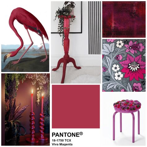 Viva Magenta/ Pantone Colour of the Year 2023 Bright, bold and very beautiful, Pantone’s new colour of the year ticks all the boxes for me! Here’s what Pantone have to say about it: Pantone’s Color of The Year, Viva Magenta 18-750, vibrates with vim and vigor. It is a shade rooted in nature descending from […] Colour Of The Year 2023, Magenta Pantone, Pantone Colour Of The Year, Tall Plant Stands, Viva Magenta, Birds Of America, John James Audubon, Flamingo Print, Dining Room Walls