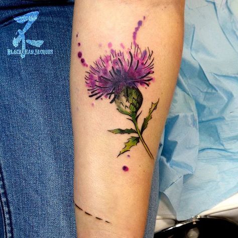 Scotland Tattoo, Scottish Thistle Tattoo, Scottish Tattoo, Scottish Tattoos, Thistle Tattoo, Thistles Art, Flower Of Scotland, Celtic Tattoos, Scottish Thistle