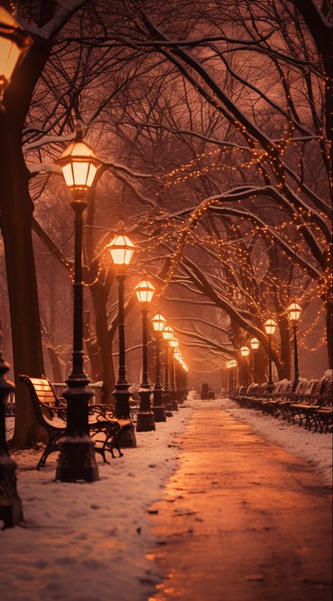 Winter Central Park, Snowy City, Images Harry Potter, Pretty Landscapes, Winter Wallpaper, Autumn Scenery, Winter Scenery, Beautiful Landscape Wallpaper, Wallpaper For Your Phone