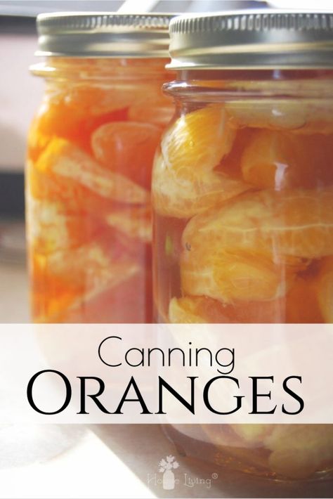 Have you ever tried canning oranges? Learn how to preserve oranges to make them shelf-stable for months to come with this easy picture tutorial! #canningoranges #preserving #canning #oranges Canned Oranges, Preserve Oranges, Canning Oranges, Preserving Foods, Canning Fruit, Canned Fruits, Home Canning Recipes, Canning Food, Canning Food Preservation