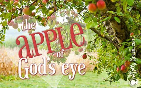 Eye Lesson, Delicious Apple Recipes, God's Eye Craft, Devotions For Kids, Apple Lessons, Kids Church Lessons, Bible Object Lessons, Homestead Kitchen, Children's Church Crafts