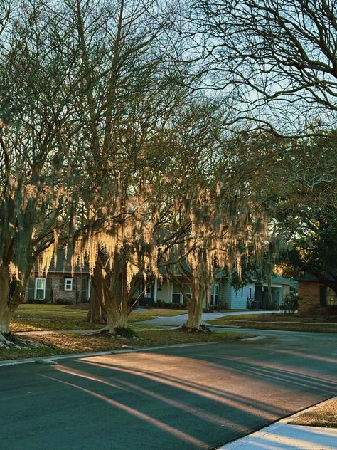 Baton Rouge Louisiana Aesthetic, Louisiana Aesthetic, Lana Del Rey Albums, Louisiana Bayou, Baton Rouge Louisiana, Usa States, New Orleans Louisiana, Planet Earth, Louisiana