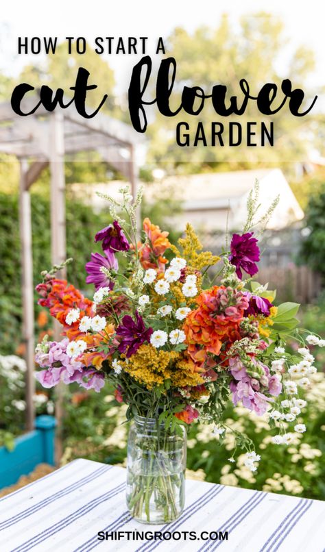 Flower Garden At Home, Starting Cut Flower Garden, Flower Arrangements From The Garden, Planting Cut Flower Garden, Potted Wildflowers Gardens, Backyard Wildflower Garden Flower Beds, Diy Garden Raised Beds, How To Make A Cut Flower Garden, Zinnia Raised Bed