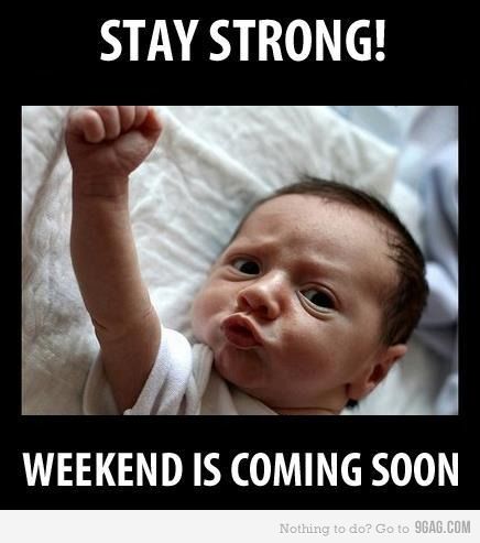 Stay strong 9gaggers Weekend Is Coming, Happy Weekend Quotes, Weekend Quotes, Fina Ord, Weekend Humor, Baby Memes, E Card, Teacher Humor, Stay Strong