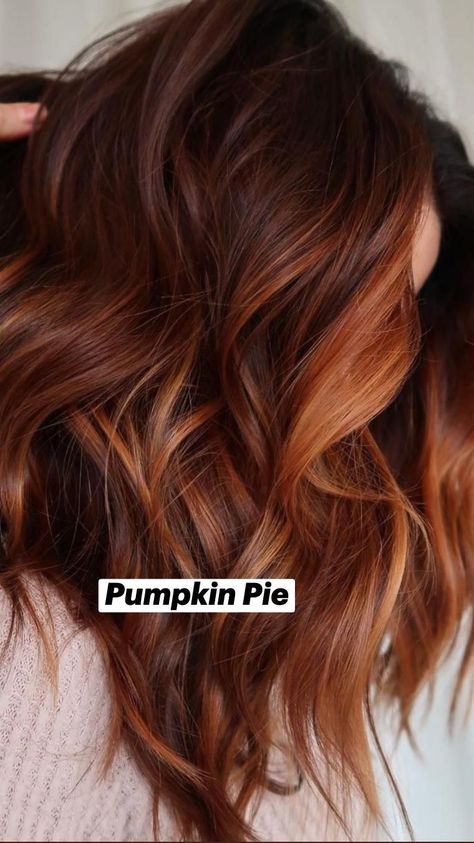 Haircolor Fall 2023, Cinnamon Fall Hair, Early Fall Hair Color, Fall 2023 Hair Color Trends Red, Autumn Hair Styles 2023, Auburn Summer Hair Color, Fall Hair Trends 2023 Brunette, Cowboy Copper Hair Color Brunette, Dark Red Hair With Blonde Highlights Balayage